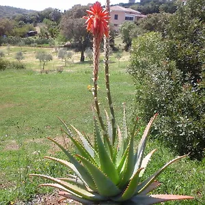 Guest house Valverde Di Naitana Rita, Alghero